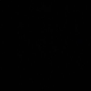 Meet your Posher, Aliyah